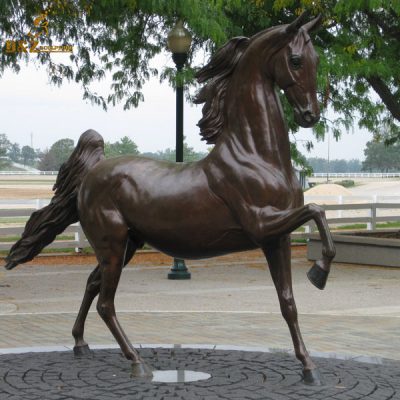 decorative arabia horse