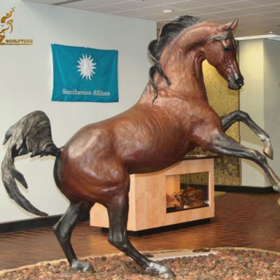 stock arabia horse
