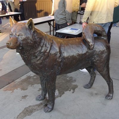 Bronze Husky bronze dog tatue for sale