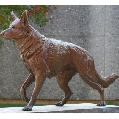 bronze shepherd dog